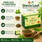 Stevia Leaf Sugar Free Natural Zero Calorie Sweetener