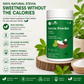 So Sweet Stevia Powder 200gm – Zero Calorie Natural Sweetener | Keto & Diabetic Friendly